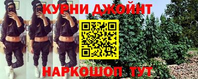 гашик Бийск