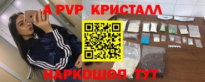 гашик Бийск