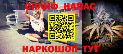гашик Бийск
