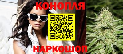 гашик Бийск