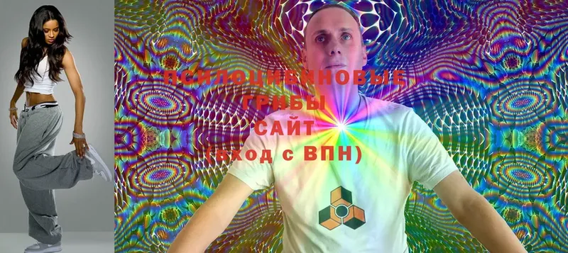 где купить   Тюмень  Псилоцибиновые грибы MAGIC MUSHROOMS 