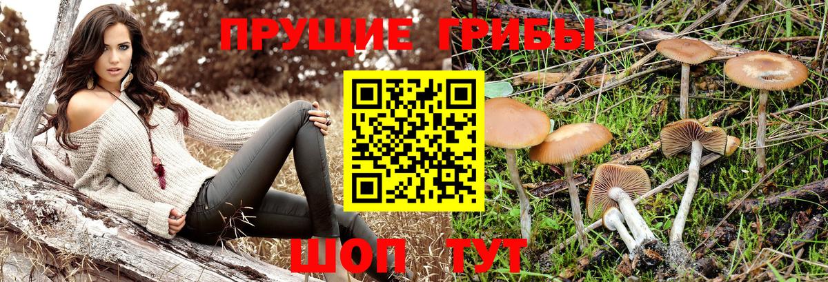 Псилоцибиновые грибы мицелий Тюмень